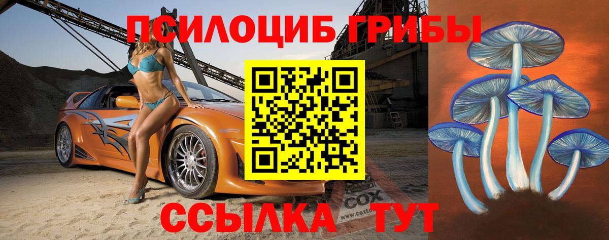 Псилоцибиновые грибы Psilocybe  Вход с VPN  Галлюциногенные грибы прущие грибы  Алатырь 